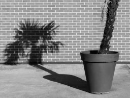 Minimalismus